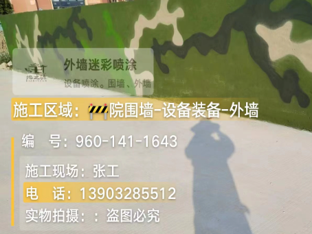 济宁 迷彩漆喷涂价格（按平方米计费）